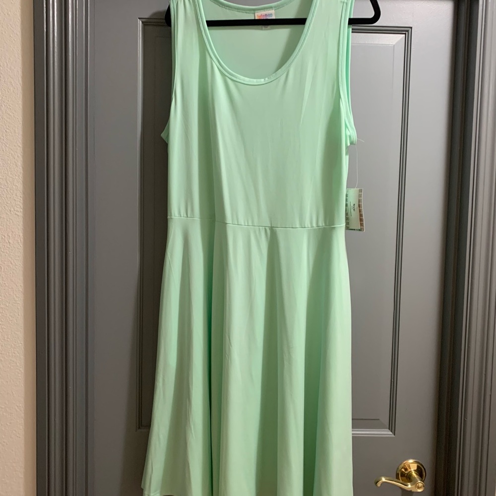Lularoe Nicki dress